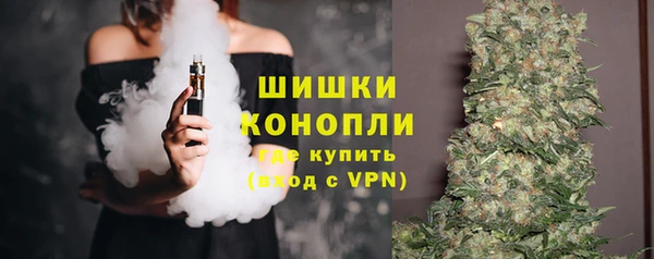 амф Майский