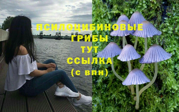 МДПВ Магас