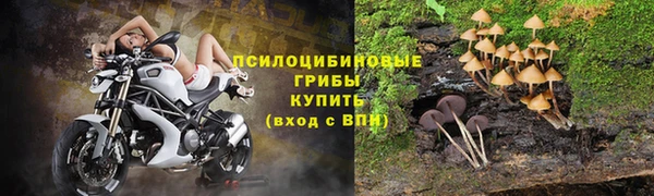 амф Майский