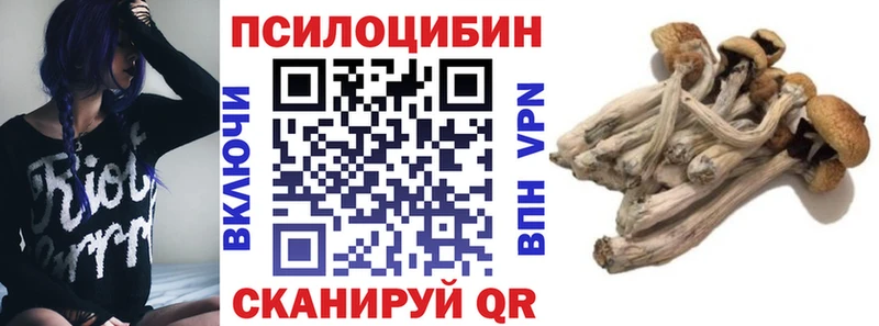 Купить где  Десногорск  Галлюциногенные грибы Psilocybine cubensis 